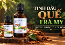 Tinh Dầu Quế HeroGo Dạng Lọ Tại Đà Nẵng – Tạo Hương Thơm Cho Không Gian