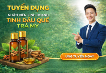 🔥 TUYỂN NHÂN VIÊN KINH DOANH – SẢN PHẨM TINH DẦU QUẾ TRÀ MY