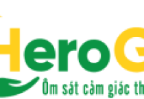 Chính sách vận chuyển