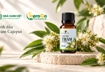 NHÀ XANH VIỆT giới thiệu hương Tràm Cajeput cho không gian sống tại TP.HCM và Đà Nẵng